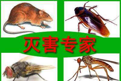 潍坊禹泉有害生物防治有限公司