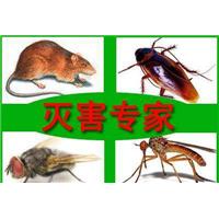 潍坊禹泉有害生物防治有限公司
