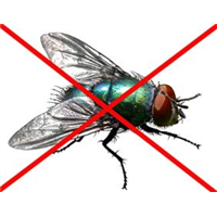 潍坊禹泉有害生物防治有限公司