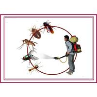 潍坊禹泉有害生物防治有限公司