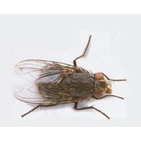 潍坊禹泉有害生物防治有限公司
