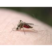 潍坊禹泉有害生物防治有限公司