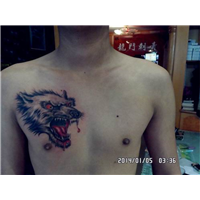 青岛李沧点刺刺青哪家服务好