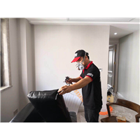 温州整形医院空气治理现场 