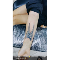 石狮纹身贵不贵 