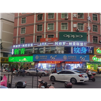 石狮满背纹身价格 