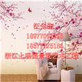 湖北墙**绘|湖北彩绘公司|湖北壁面彩绘 