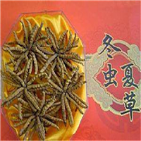 南通五粮液回收