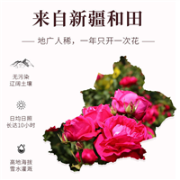 新疆仁全化妆品 