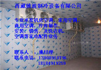 拉萨保鲜库设计制 