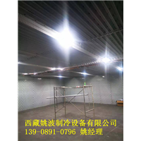 拉萨冷库安装！拉萨冷库制作厂家！