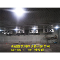 拉萨冷库设计！拉萨冷库制作！