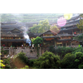 南湾湖农家乐旅游