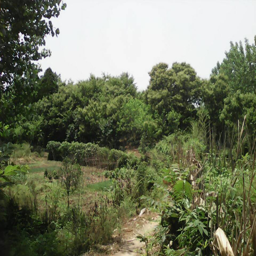 南湾湖农家乐住宿