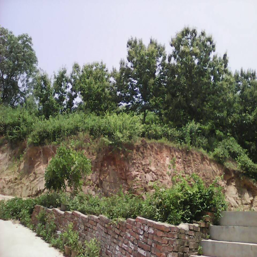 南湾湖农家乐旅游