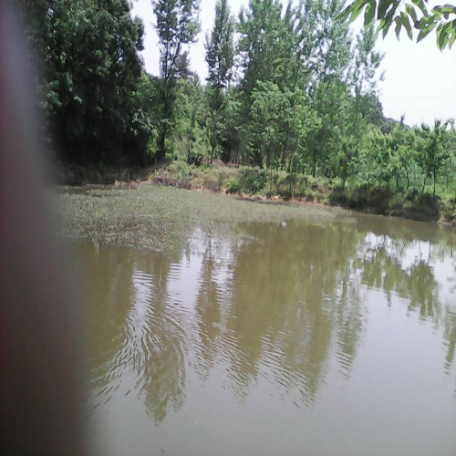 南湾湖农家乐住宿
