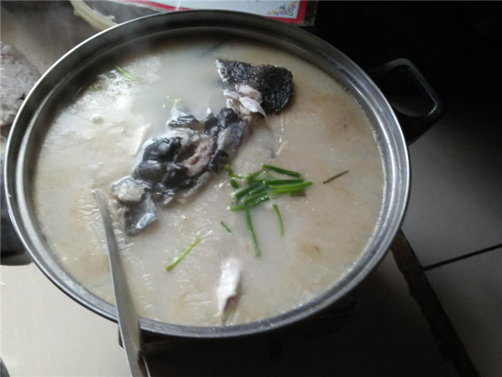 南湾湖农家乐旅游