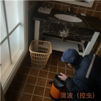 嘉兴白蚁防治