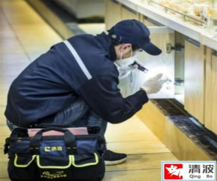 嘉兴灭鼠电话