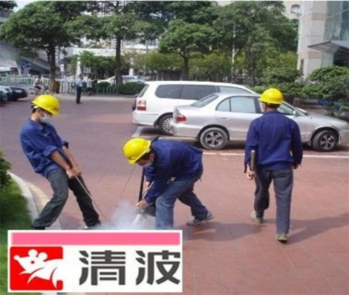 嘉兴灭虫公司