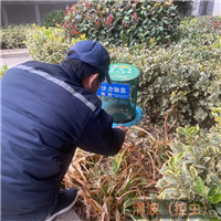 嘉兴专业灭鼠公司