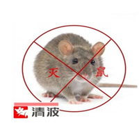 嘉兴专业灭老鼠