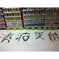 嘉兴灭鼠-嘉兴灭鼠公司 