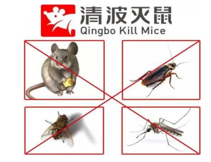 嘉兴灭鼠电话