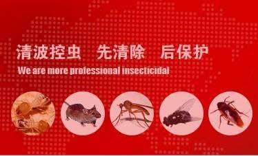 嘉兴市清波害虫防治：嘉兴灭白蚁 