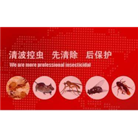 嘉兴市清波害虫防治：嘉兴灭白蚁 