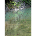 @南阳淅川坐禅谷￥￥坐禅谷旅游