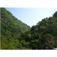 @南阳淅川坐禅谷￥￥坐禅谷旅游