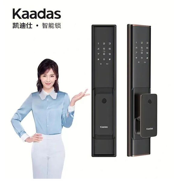 凯迪仕智能锁