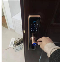 石狮换房门锁