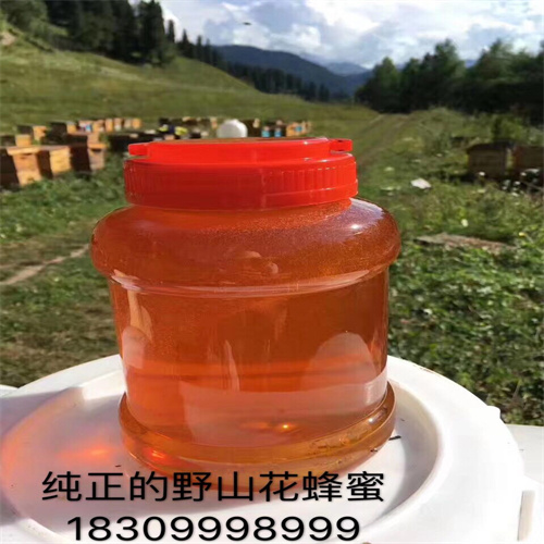 野生苹果种子加工