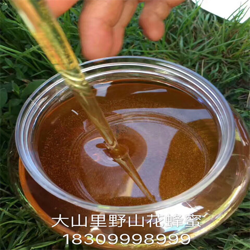 新疆野苹果种子供应