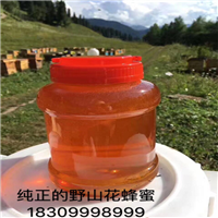 野生苹果种子加工
