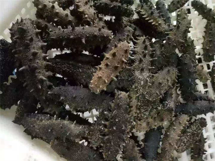 东莞礼品回收 