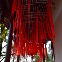 武夷山旅游包车！武夷山旅游包车带导游