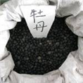 菏泽优质牡丹籽价格|牡丹籽批发商|005 