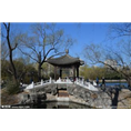 青海农村四角亭子建设 