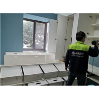 六安除甲醛公司 