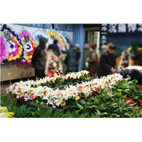 上海殡葬白事一条龙  上海24小时殡葬服务