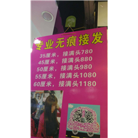 淮南燕子补发增发接发店 