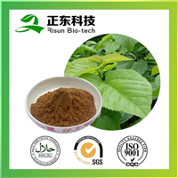 桑叶提取物 
