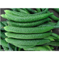 西安果蔬酵素提取物-西安植物提取物经销商