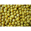 西安大豆提取物|西安植物提取物生产商