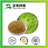 刺果番荔枝