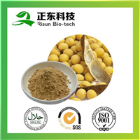 大豆提取物