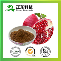 石榴皮提取物